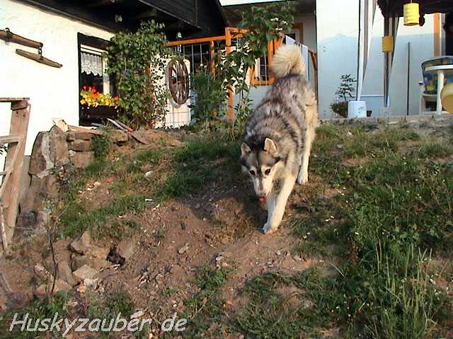 Gosses Bild 8 Galerie 22